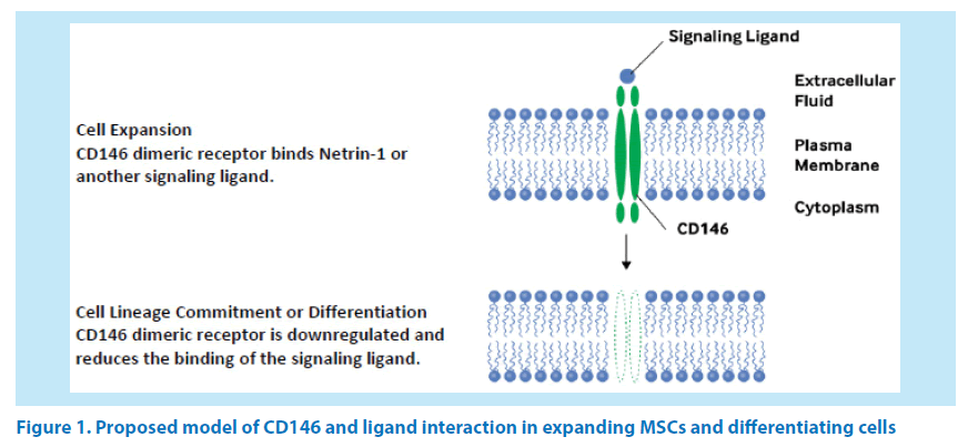 pharmaceutical-bioprocessing-ligand-interaction