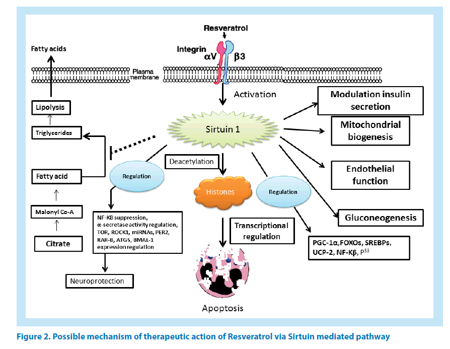 pharmaceutical-bioprocessing-mediated-pathway