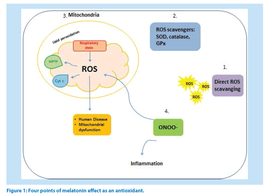 pharmaceutical-bioprocessing-melatonin-effect