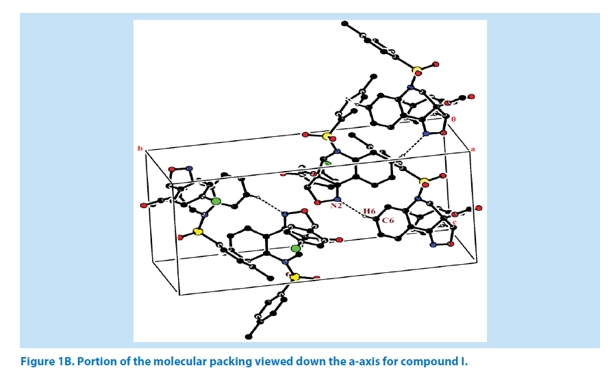 pharmaceutical-bioprocessing-molecular-packing