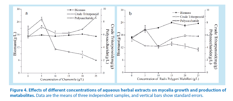pharmaceutical-bioprocessing-mycelia-growth