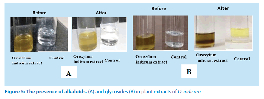 pharmaceutical-bioprocessing-presence-alkaloids