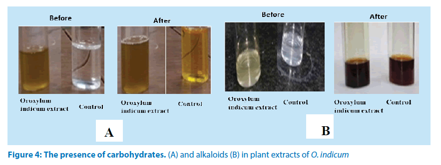 pharmaceutical-bioprocessing-presence-carbohydrates