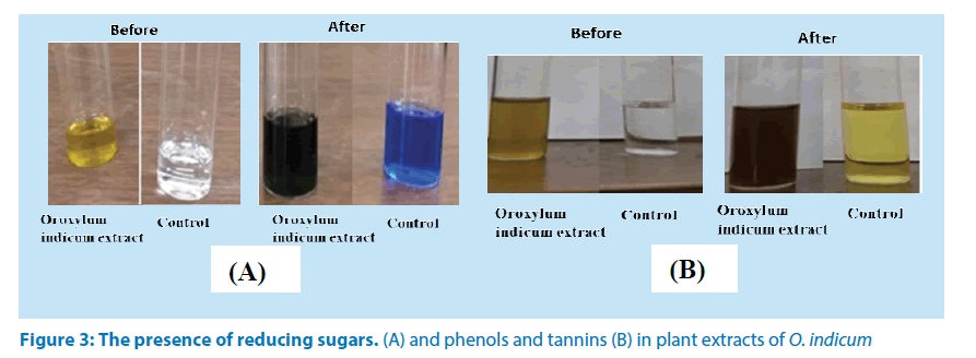 pharmaceutical-bioprocessing-reducing-sugars