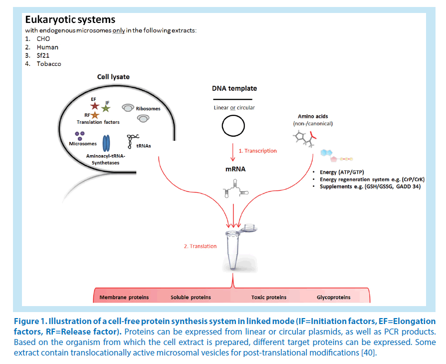 pharmaceutical-bioprocessing-synthesis-system